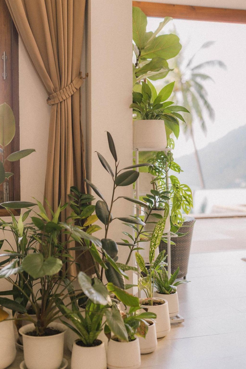 Perfect View Pool Villa Koh Tao Exterior photo